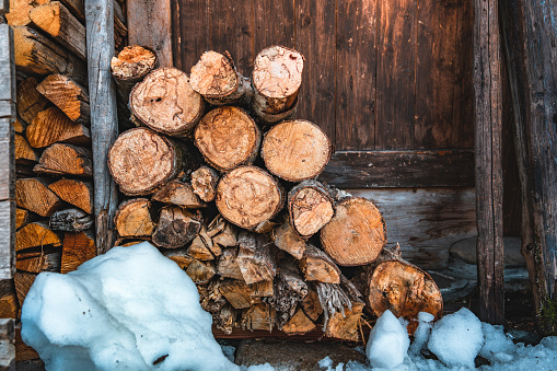 Stockpile harvested logs in the woods under the snow. Concepts of ecology