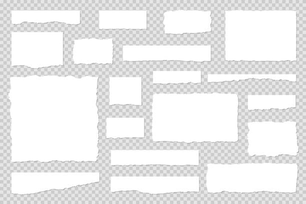 Set of torn paper fragments on transparent background Vector collection of torn paper. Carefully layered and grouped for easy editing. torn paper transparent background stock illustrations