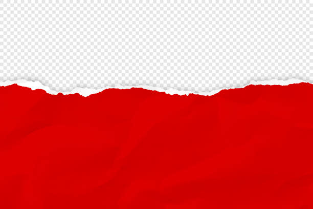 Crumpled torn paper background Crumpled and torn paper on transparent background torn paper transparent background stock illustrations