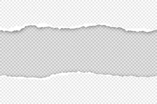 Vector illustration of Torn paper frame on transparent background