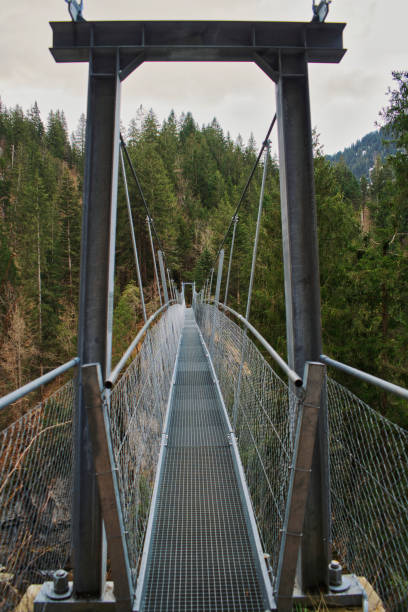 footpath over bridge footpath over a small suspension bridge. green valley denmark stock pictures, royalty-free photos & images