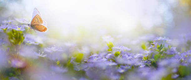 istock Art Beautiful Blurred Spring Background Nature With Blooming Glade and Fly Butterfly Against Blue Sunny Sky on a  Happy Easter Day. 1474864898