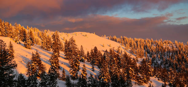 pôr do sol na estação de esqui bogus basin em boise, idaho - idaho boise sunset scenics - fotografias e filmes do acervo