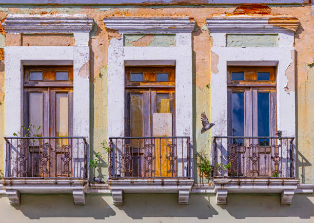 A picturesque city scene featuring a traditional colonial-style wooden-shuttered window in Curaçao. A cozy coffee table and lush potted plants adorn the sidewall, adding charm and character. The warm glow of ambient light gently illuminates the facade, enhancing the inviting atmosphere