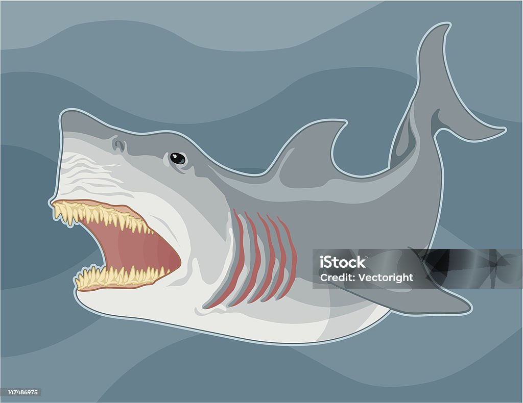 Shark - Vetor de Aposta royalty-free