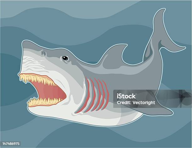 Vetores de Shark e mais imagens de Aposta - Aposta, Arcaico, Arte