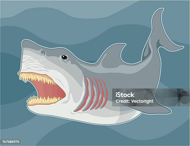 Shark Stock Illustration - Download Image Now - Ancient, Animal Teeth, Aquatic Mammal