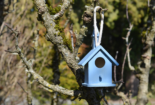 Closeup of a small wood birdhouse in a backyard at the beginning of Spring.