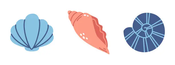 Vector illustration of Vector seashell set in flat design. Spiral seashell and scallop seashell. Marine life.
