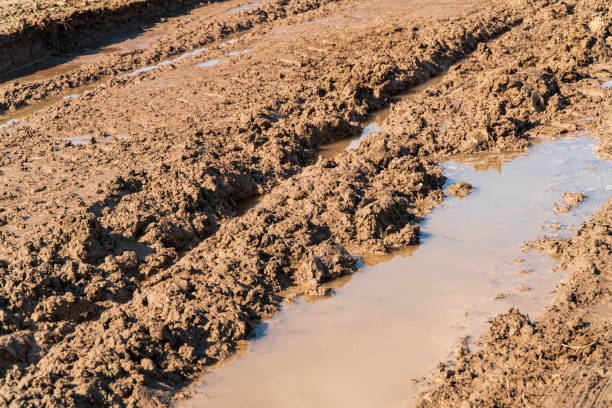 istock Dirt road after rain. Road with ruts and puddles 1474876523