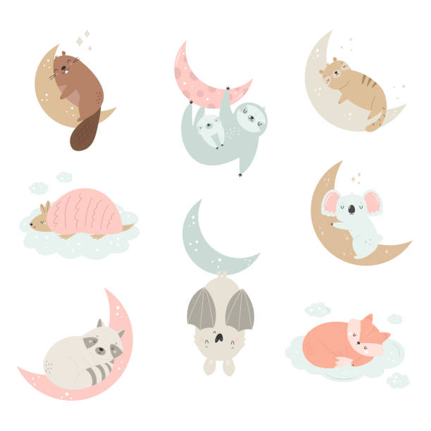 Cute animals sleeping on moon and clouds. Vector illustration of raccoon, bat, fox, tiger, koala, beaver, sloth Cute animals sleeping on moon and clouds. Vector illustration of raccoon, bat, fox, tiger, koala, beaver, sloth. sleeping koala bear stock illustrations