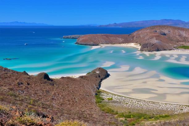 The Spectacular Bay