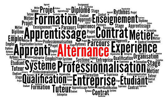 Dual education system in France word cloud in French language