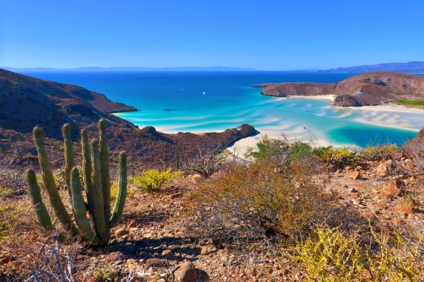 1,500+ La Paz Mexico Stock Photos, Pictures & Royalty-Free Images - iStock