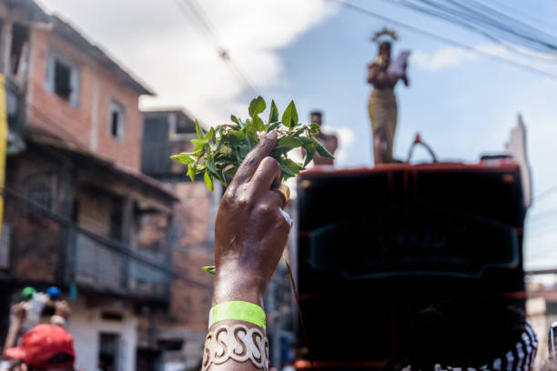 mano de mujer sosteniendo albahaca en una cuadra de carnaval en belo horizonte. - axe fotografías e imágenes de stock