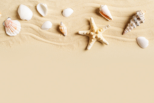 Summer vacation and beauty sand mock up with shell, starfish and sand on beige background, top view, copy space, flat lay, banner