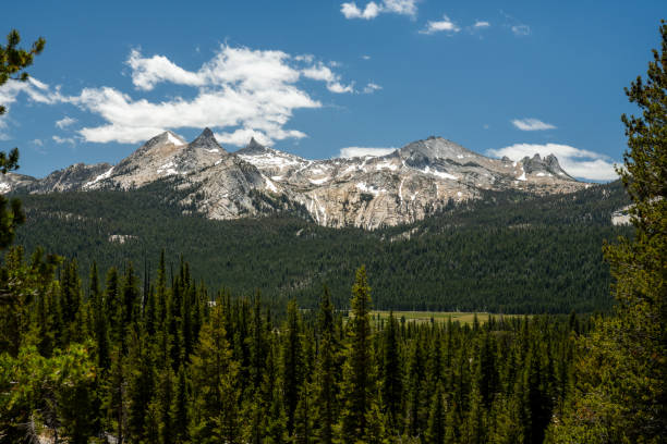 istock Layers of Green in Yosemite Below Echo Peak and Surrounding Range 1474888412
