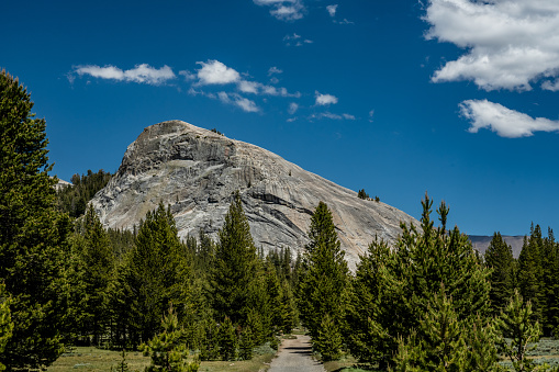 Looking Up At Lembert Dome From The Forest Below in Tuolumne Meadows