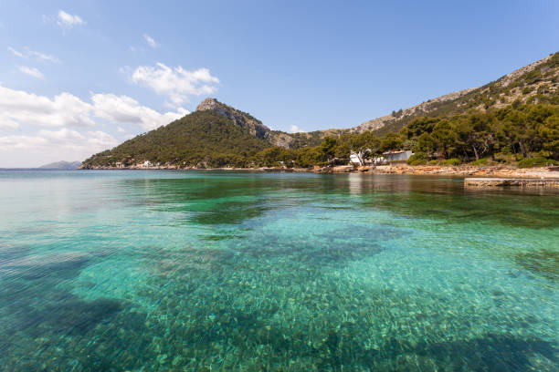 wonderful beach with crystal clear water in palma de mallorca in the balearic islands, spain. summer holidays on the mediterranean sea, best travel destination in europe. - palma majorca stok fotoğraflar ve resimler