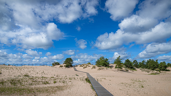 Sunny day in a solitary beach by the Baltic Sea, a boardwalk made of wood between the dunes and some trees.
