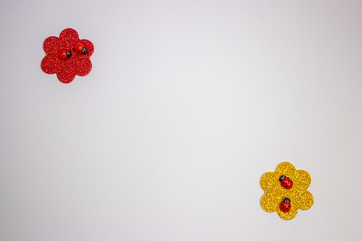 Yellow and red flower on white background