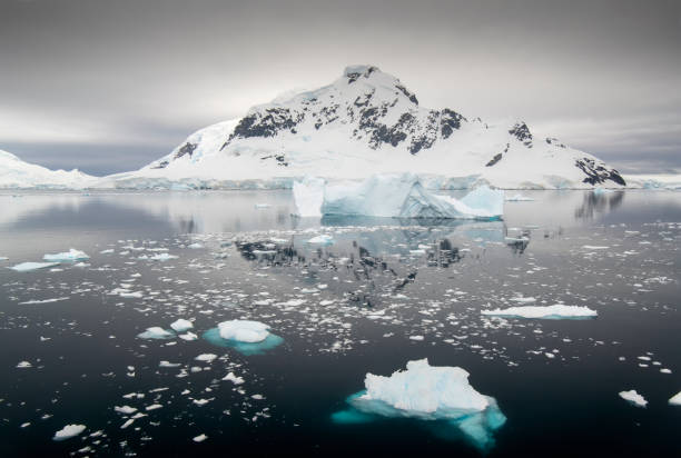 wunderschöne und atmosphärische landschaft in der paradise bay mit eisbergen, die in der antarktis schwimmen - südpolarmeer stock-fotos und bilder