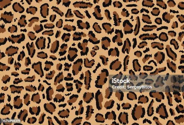 Leopard Full Pattern Leopard Pattern Design Stock Illustration - Download Image Now - Brown ...