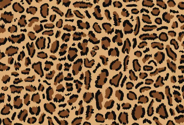 Vector illustration of Leopard pattern design