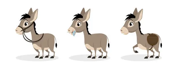 Vector illustration of Vector illustration of cute and beautiful donkeys on white background. Charming characters in different poses stand in a harness, eat, on the back of a bag in cartoon style.