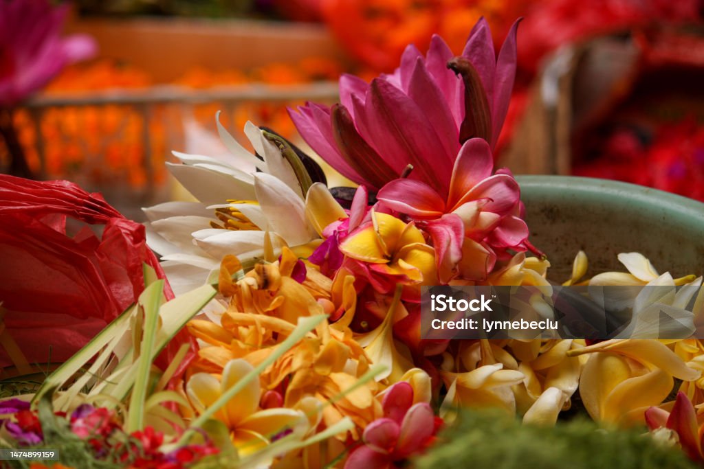 Tropical Flowers on a Balinese Market Stall Horizontal closeup photo of a variety of brightly coloured, scented flowers and offering baskets for sale on a stall at the early morning traditional market on Jalan Raya, Ubud, Bali. Soft focus background. Balinese Culture Stock Photo