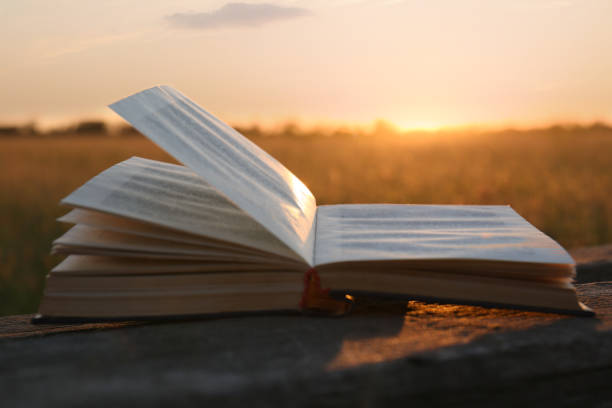istock Open book on wooden bench in field at sunset, closeup 1474900455