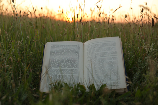 Open book on green grass in field at sunset
