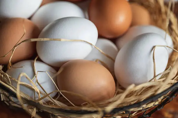 Photo of Fresh organic chicken eggs