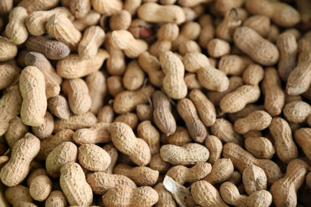 istock Heap of delicious peanuts as background, closeup view 1474901633