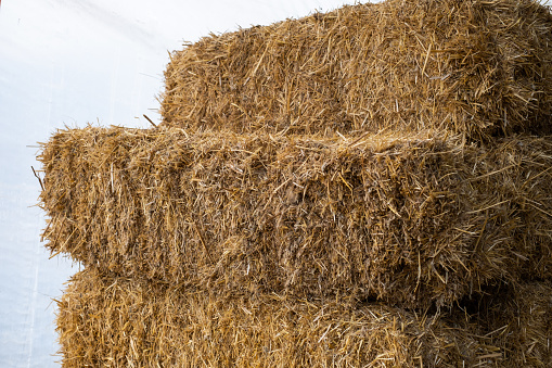Stacked bales of hay.