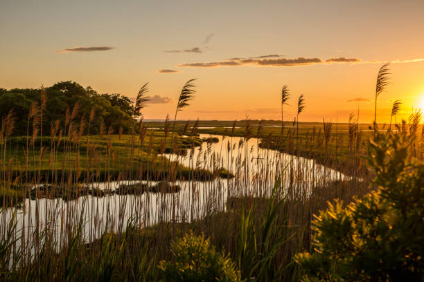 tramonto del merluzzo del capo a falmouth - cape cod new england sea marsh foto e immagini stock