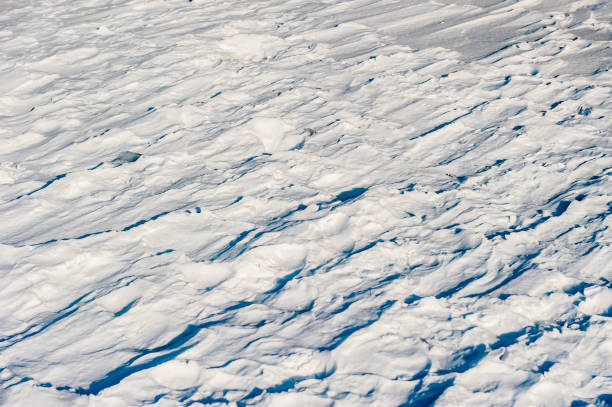 istock Tracks in the snow 1474906075
