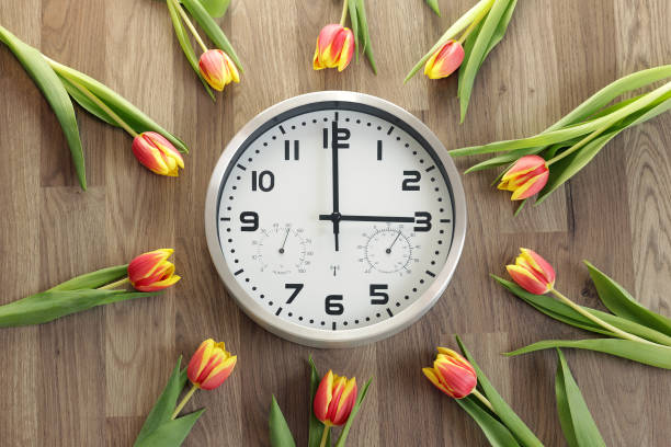 eine uhr zeigt drei stunden an. tulpen liegen herum. ein symbol für den wandel der zeit. - time month rear view calendar stock-fotos und bilder