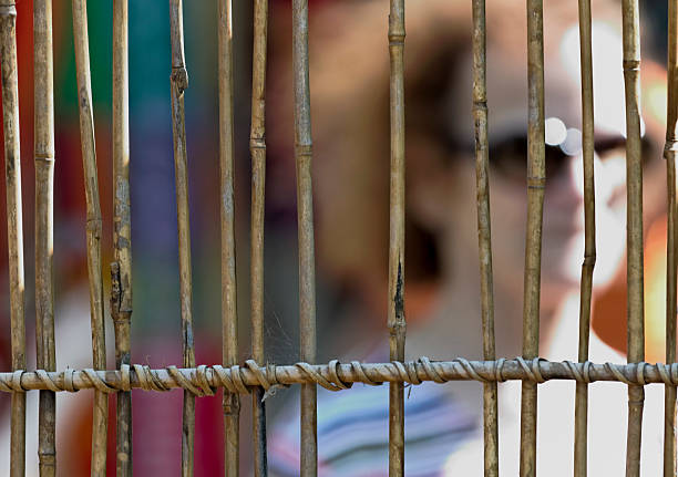 Incognito Moving person behind bamboo fence bamboo twist stock pictures, royalty-free photos & images