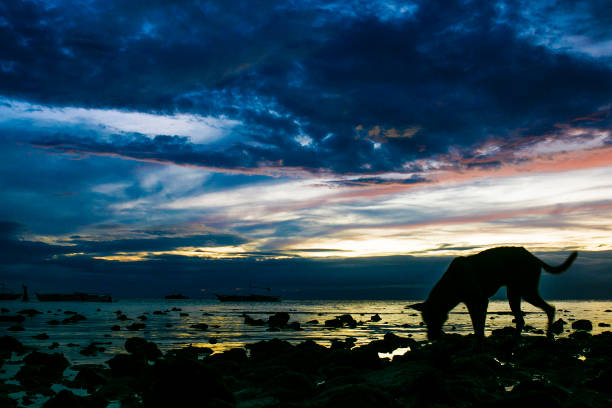Philippine Island Beautiful Sunset Hues