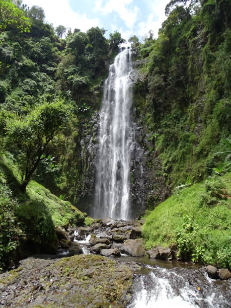 istock Waterfall in Mt. Kilimanjaro valley 1474909732
