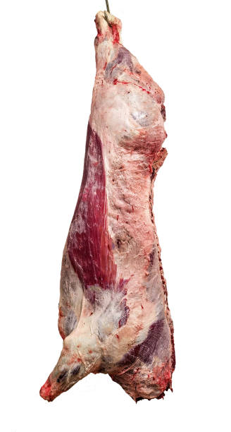 carcasse de bœuf dans un abattoir - butcher butchers shop slaughterhouse hook photos et images de collection