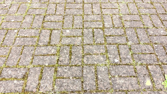 Paving slabs made of stone between which moss and green grass grow. High quality photo