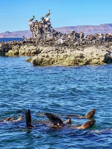Sea of Cortez in Baja California, Mexico.