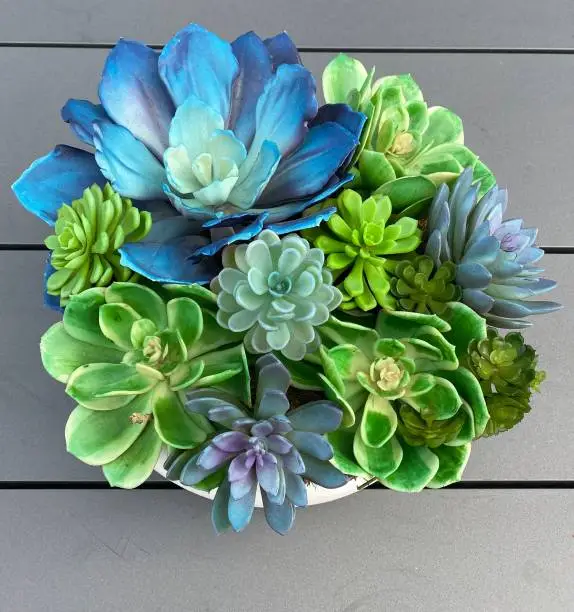 Faux succulent display. Blues and Greens