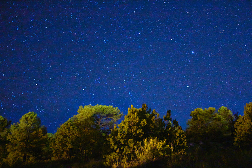 Árboles con sombras oscuras en una noche estrellada en monte escobedo Zacatecas
