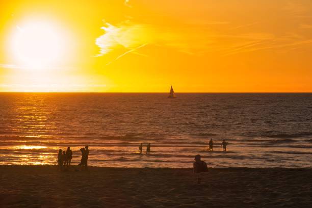 people enjoying sunset while on the beach stock photo