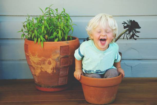A young child laughs as he tries to fit in a plant pot. Growing children concept.