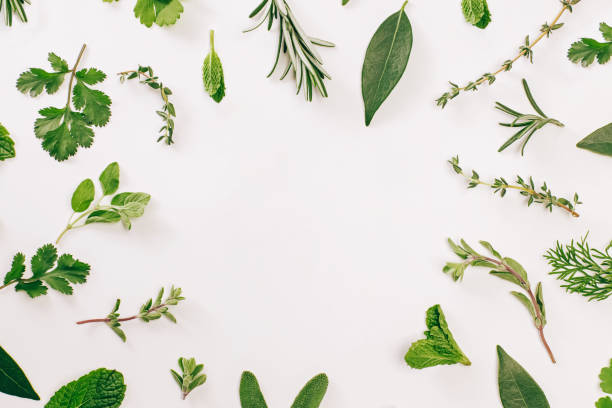 istock Collection of fresh green herbs arranged on a clean white background 1474931232