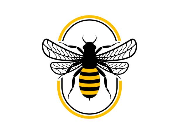 Ellipse shape with honey bee Ellipse shape with honey bee bee costume stock illustrations